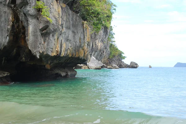 Kalksteinfelsen Mit Bäumen Und Meerblick Puerto Princesa Palawan Philippinen — Stockfoto