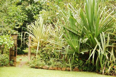 BOHOL, PH - SEPT 1 - 1 Eylül 2015 tarihinde Bohol, Filipinler 'deki Habitat Kelebekleri Koruma Merkezi' nde bahçe düzenleme