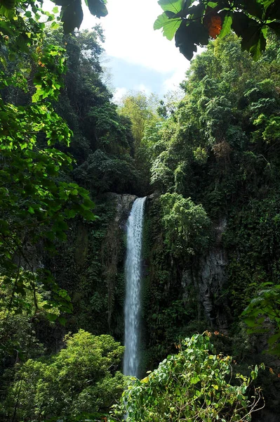 Катибавасанский Водопад Зеленые Листья Камигине Филиппины — стоковое фото