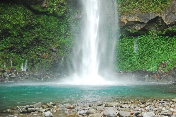 Катибавасанский Водопад Зеленые Листья Камигине Филиппины — стоковое фото