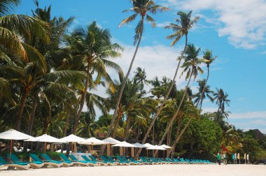 BOHOL, PH - SEPT 1 - Hennan tatil köyü sahil koltukları 1 Eylül 2015 tarihinde Alona plajı, Panglao Adası, Bohol, Filipinler