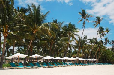 BOHOL, PH - SEPT 1 - Hennan tatil köyü sahil koltukları 1 Eylül 2015 tarihinde Alona plajı, Panglao Adası, Bohol, Filipinler