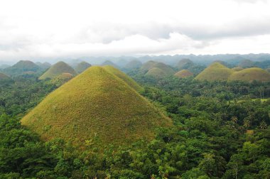 Çikolata tepelerinin manzarası Carmen, Bohol, Filipinler çevresindeki ağaçlarla çevrili.