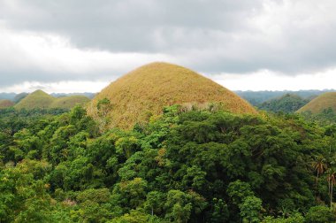 Çikolata tepelerinin manzarası Carmen, Bohol, Filipinler çevresindeki ağaçlarla çevrili.