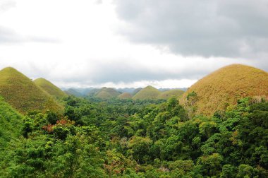 Çikolata tepelerinin manzarası Carmen, Bohol, Filipinler çevresindeki ağaçlarla çevrili.