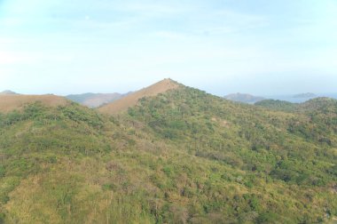 Tapyas Dağı, ağaçlar ve çimen manzarası Coron, Palawan, Filipinler 