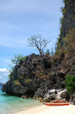 Filipinler, Coron 'daki BBH plaj suyu, rıhtım teknesi ve ağaçlar