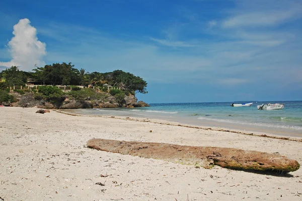 Bohol Sept 2015年9月1日 菲律宾波荷岛Alona海滩海滩沙滩上的树木圆木 — 图库照片