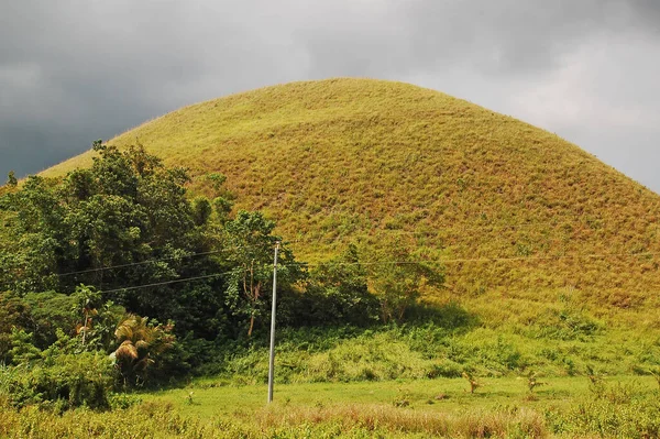 Colinas Chocolate Vista Del Paisaje Con Árboles Circundantes Carmen Bohol — Foto de Stock