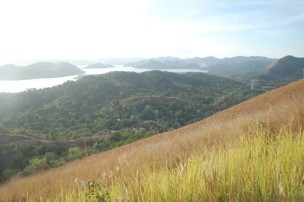 Monte Tapyas Montaña Árboles Vista Hierba Coron Palawan Filipinas — Foto de Stock