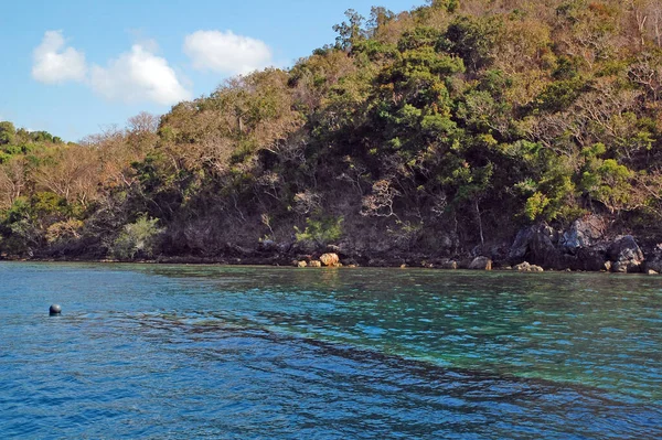 Formação Rochosa Com Árvores Mar Água Azul Coron Palawan Filipinas — Fotografia de Stock