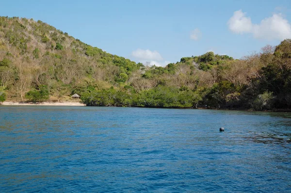 Felsformation Mit Bäumen Und Blauem Meer Coron Palawan Philippinen — Stockfoto