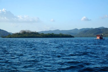 Gündüz vakti Coron, Palawan, Filipinler 'de gökyüzü arka plan ağaçları ve deniz bulunan ada