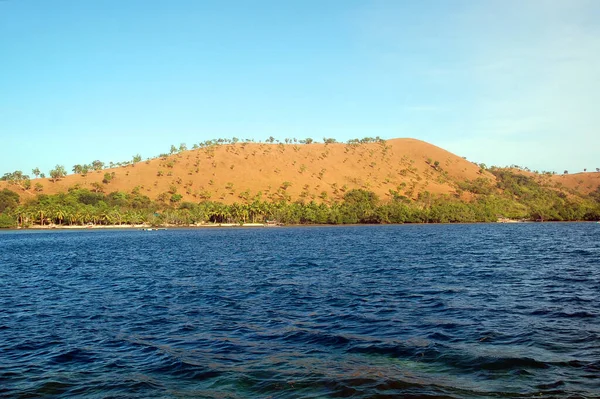 Eiland Met Lucht Achtergrond Bomen Zee Overdag Coron Palawan Filipijnen — Stockfoto