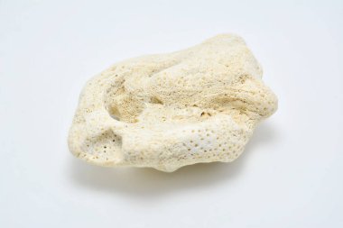 Filipin sahilinde beyaz plaj mercan taşı bulundu.