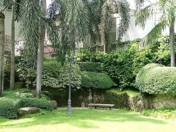 Inicio Jardín Paisajismo Con Hojas Verdes Hierba Cocoteros — Foto de Stock
