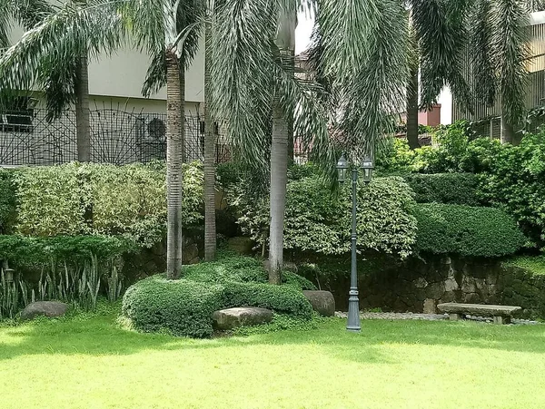 Casa Jardim Paisagismo Com Folhas Verdes Grama Coqueiros — Fotografia de Stock