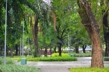MANILA, PH - NOV 24 - Mehan bahçe parkı 24 Kasım 2018, Manila, Filipinler.