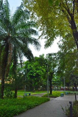 MANILA, PH - NOV 24 - Mehan bahçe parkı 24 Kasım 2018, Manila, Filipinler.
