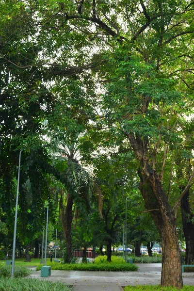 Manila Nov Mehan Garden Outdoor Park November 2018 Manila Philippines — Stock Photo, Image