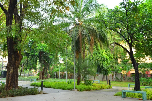 Manila Nov Mehan Garden Outdoor Park Novembre 2018 Manila Filippine — Foto Stock