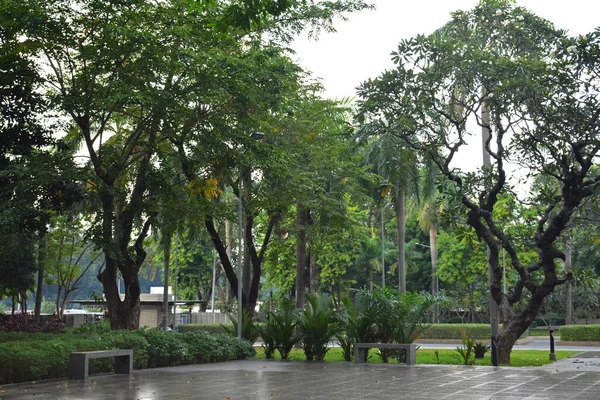 Manila Nov Mehan Garden Outdoor Park November 2018 Manila Philippines — Stock Photo, Image