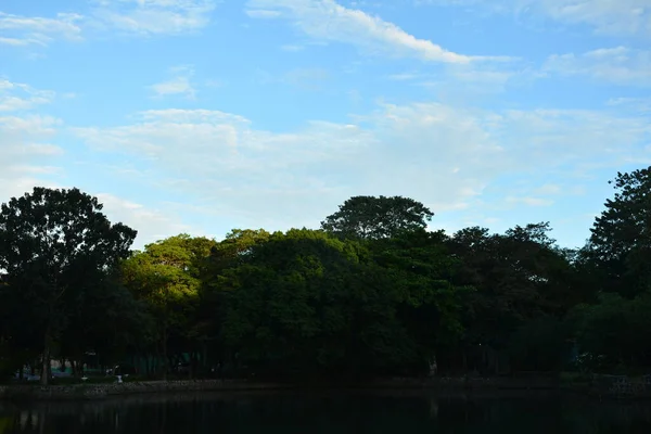 Quezon City Dec Ninoy Aquino Fauna Parken Meer Bomen December — Stockfoto