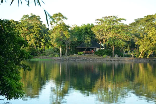 Quezon City Dec Ninoy Aquino Divoká Zvěř Parky Jezero Stromy — Stock fotografie
