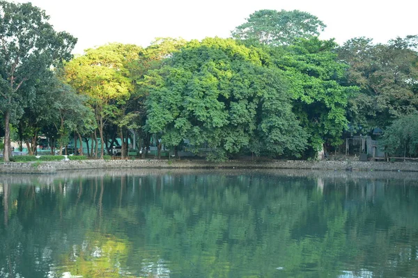 Quezon City Dec Ninoy Aquino Wildlife Parks Lake Trees December — Stock Photo, Image