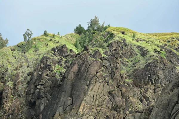 Danao Beach Resort Rock Formation Green Grass Plants Dingalan Aurora — Fotografia de Stock