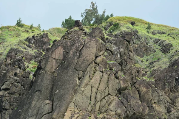 Danao Beach Resort Rock Formation Green Grass Plants Dingalan Aurora — Fotografia de Stock