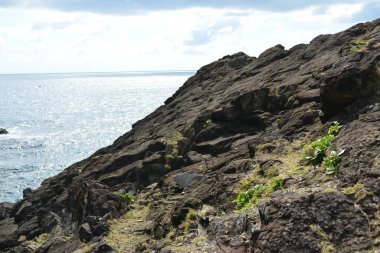 Dingalan, Aurora, Filipinler 'deki Danao plaj tesisi kaya oluşumu ve deniz suyu