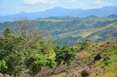 Dağ ve ağaçlar Dingalan, Aurora, Filipinler manzaralı