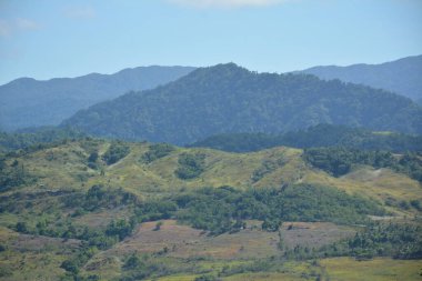 Dağ ve ağaçlar Dingalan, Aurora, Filipinler manzaralı