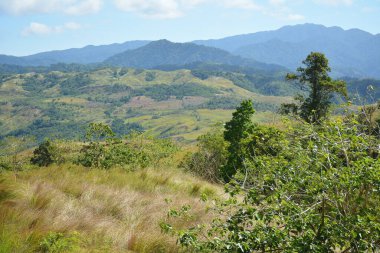 Dağ ve ağaçlar Dingalan, Aurora, Filipinler manzaralı