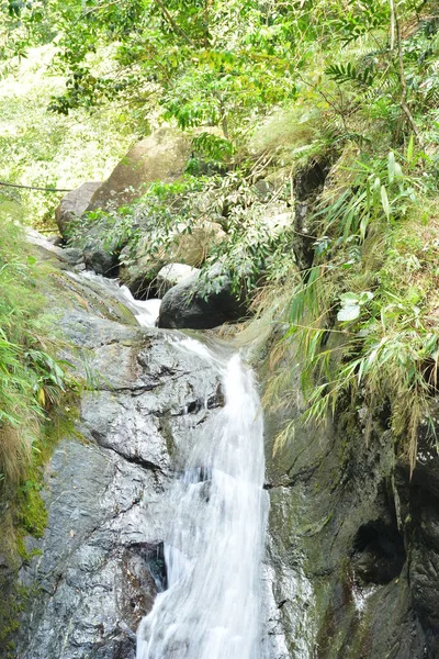 Вода Танави Спадає Великими Скелями Зеленими Листками Дінгалан Аврора Філіппіни — стокове фото