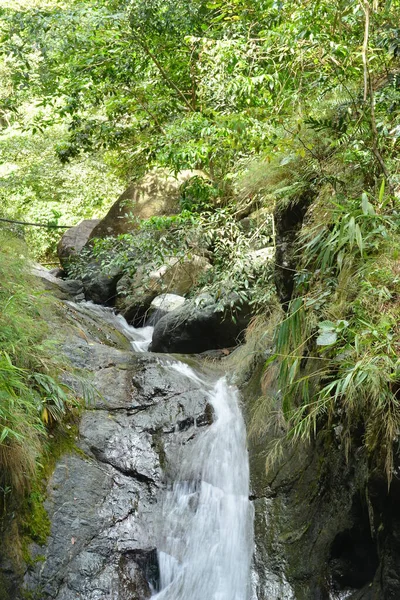 Вода Танавана Падает Большими Камнями Зелеными Листьями Дингалане Аврора Филиппины — стоковое фото