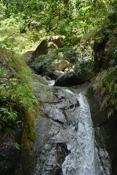Вода Танавана Падает Большими Камнями Зелеными Листьями Дингалане Аврора Филиппины — стоковое фото