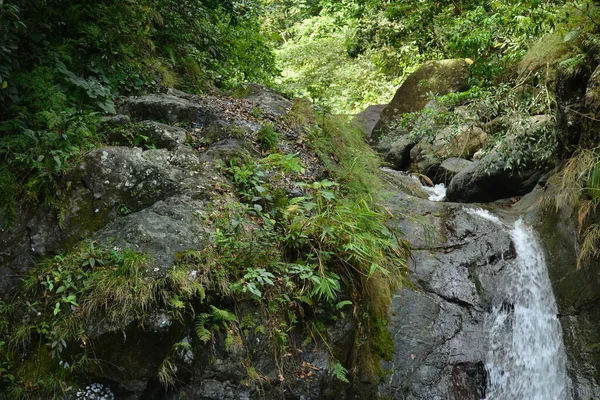 Agua Tanawa Cae Con Grandes Rocas Hojas Verdes Dingalan Aurora — Foto de Stock