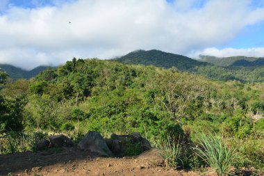 Dağ ve ağaçlar Dingalan, Aurora, Filipinler manzaralı