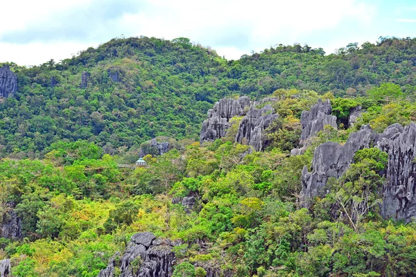 바위와 더불어 필리핀 리잘에서 자라는 나무들 — 스톡 사진