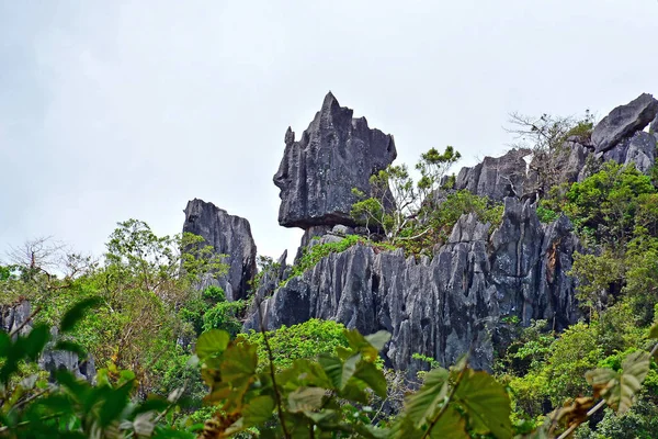 Montaña Rocas Más Árboles Creciendo Rizal Filipinas — Foto de Stock