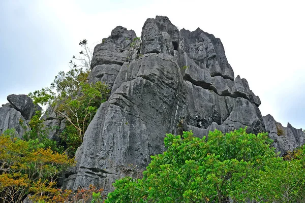 Montagne Rochers Arbres Poussant Rizal Philippines — Photo