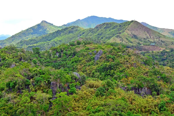 Гора Скелі Також Дерева Ростуть Рісалі Філіппіни — стокове фото