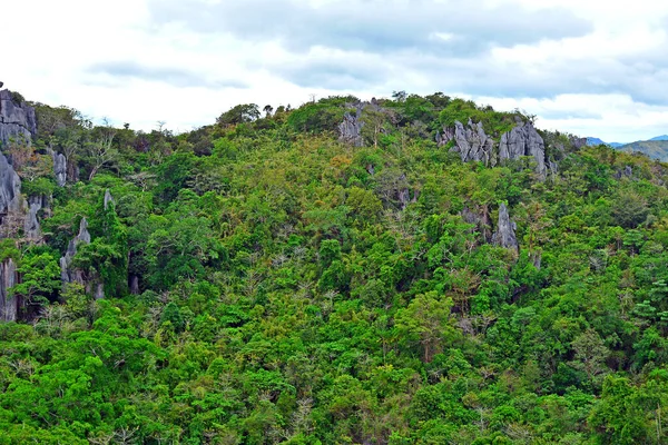 フィリピンのリサールで育つ山と岩と木 — ストック写真