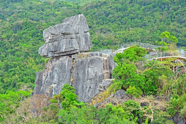 Berg Och Klippor Träd Som Växer Rizal Filippinerna — Stockfoto