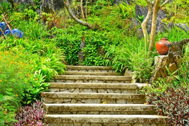 Filipinler, Rizal 'de ağaçlı ve yapraklı yol