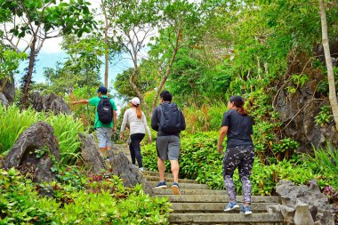Filipinler, Rizal 'de ağaçlı ve yapraklı yol