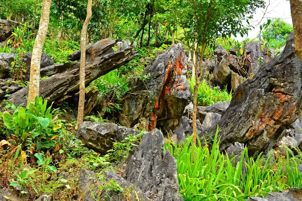 Hojas Formaciones Rocosas Rizal Filipinas — Foto de Stock