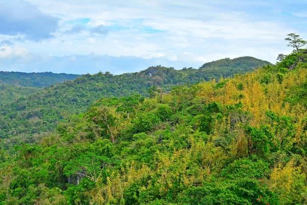 Montaña Rocas Más Árboles Creciendo Rizal Filipinas — Foto de Stock